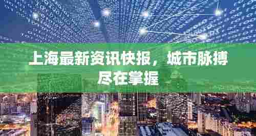 上海最新资讯快报，城市脉搏尽在掌握