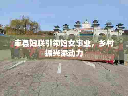 丰县妇联引领妇女事业，乡村振兴添动力