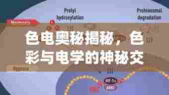 色电奥秘揭秘，色彩与电学的神秘交汇点