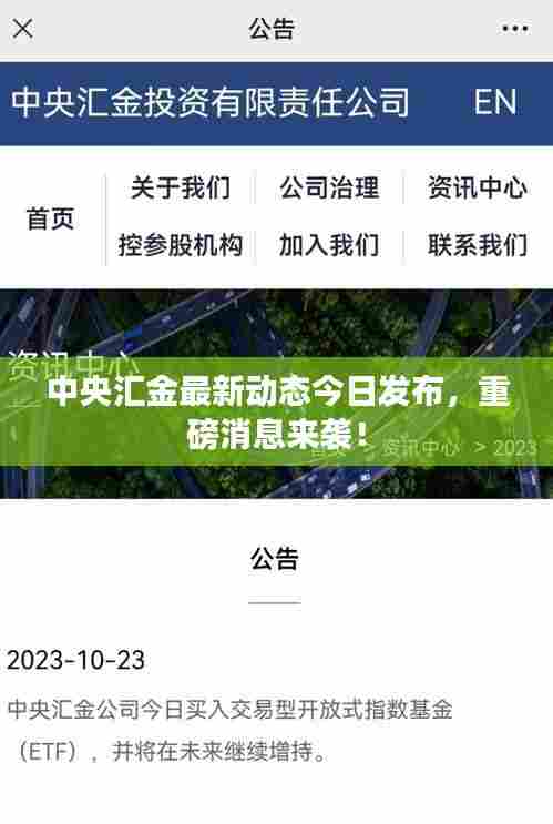 中央汇金最新动态今日发布，重磅消息来袭！