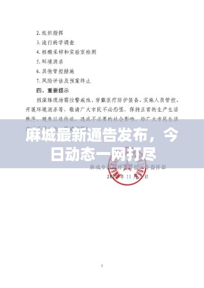 麻城最新通告发布,今日动态一网打尽
