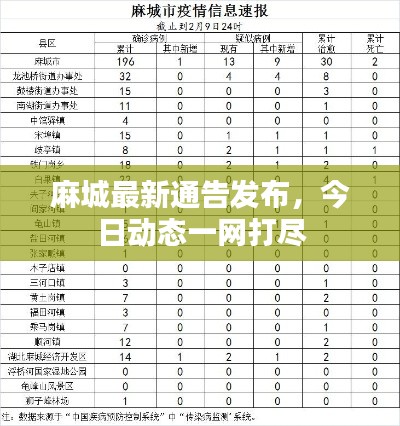 麻城最新通告发布,今日动态一网打尽