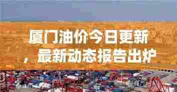 厦门油价今日更新,最新动态报告出炉!