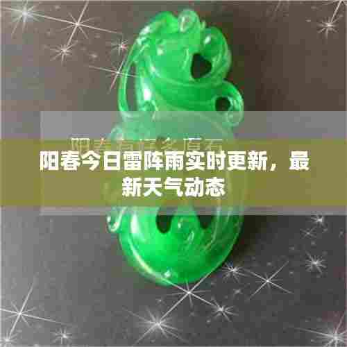 阳春今日雷阵雨实时更新,最新天气动态