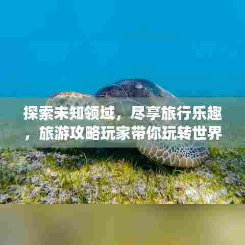 探索未知领域，尽享旅行乐趣，旅游攻略玩家带你玩转世界