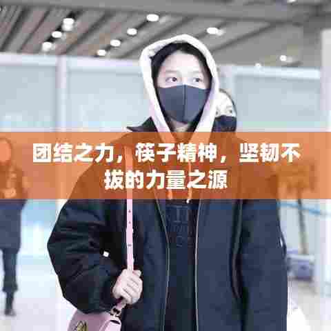 团结之力，筷子精神，坚韧不拔的力量之源