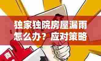 独家独院房屋漏雨怎么办？应对策略与预防方法全解析