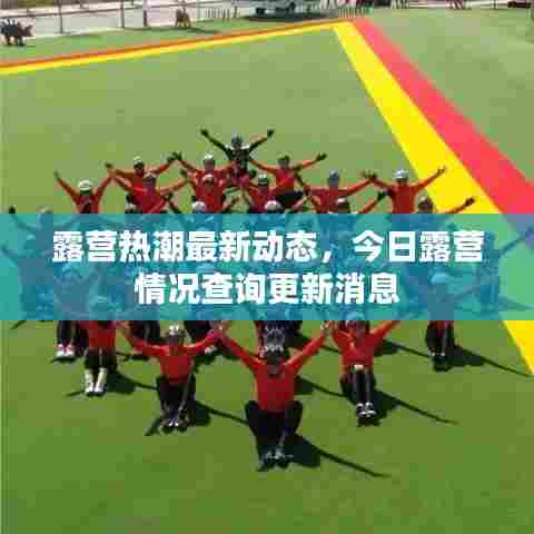 露营热潮最新动态，今日露营情况查询更新消息