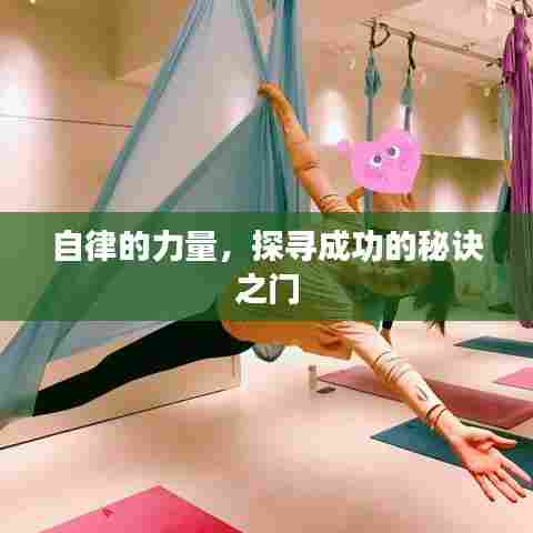 别出新意 第7页