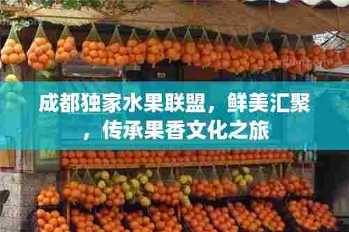 成都独家水果联盟,鲜美汇聚,传承果香文化之旅