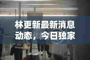 林更新最新消息动态,今日独家爆料!