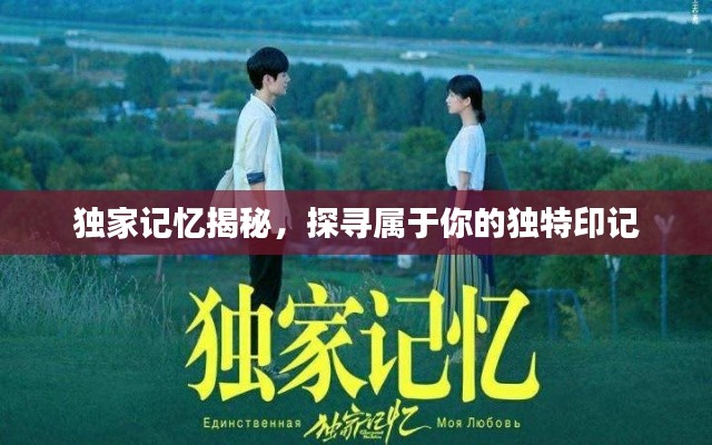 独家记忆揭秘，探寻属于你的独特印记