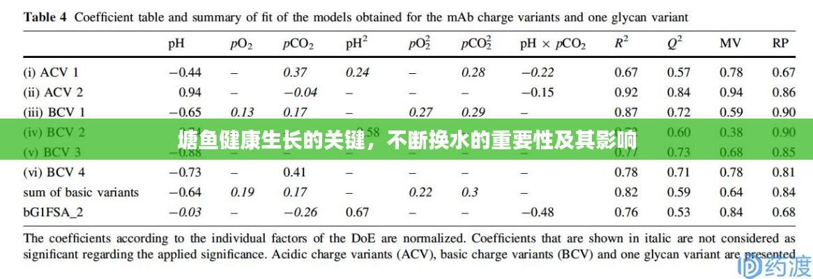 塘鱼健康生长的关键，不断换水的重要性及其影响