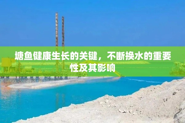 塘鱼健康生长的关键,不断换水的重要性及其影响