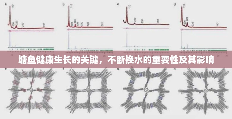 塘鱼健康生长的关键,不断换水的重要性及其影响
