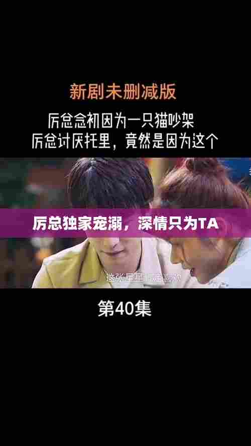 厉总独家宠溺,深情只为TA