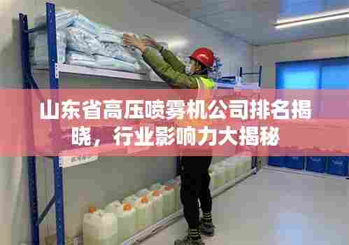 山东省高压喷雾机公司排名揭晓，行业影响力大揭秘