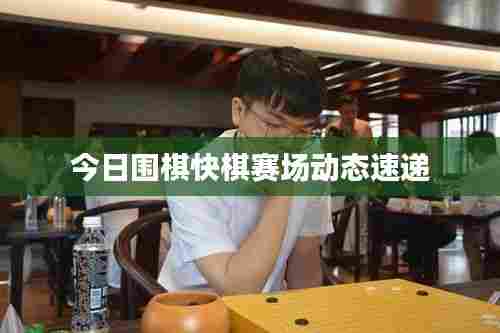 今日围棋快棋赛场动态速递