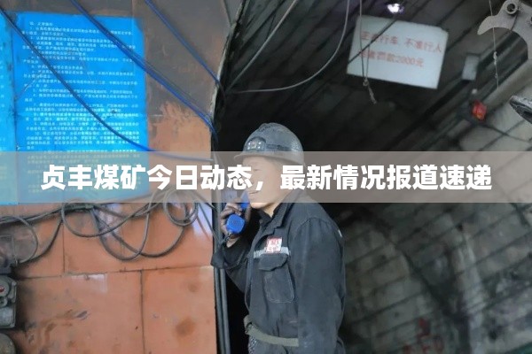 贞丰煤矿今日动态，最新情况报道速递