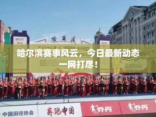 哈尔滨赛事风云，今日最新动态一网打尽！