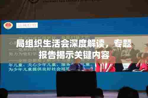 局组织生活会深度解读，专题报告揭示关键内容