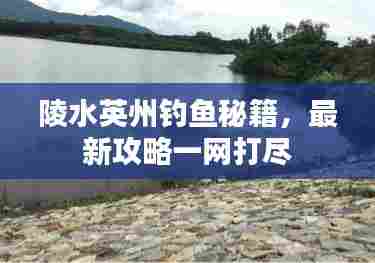 陵水英州钓鱼秘籍，最新攻略一网打尽