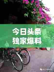 今日头条独家爆料,洪国华最新动态揭秘