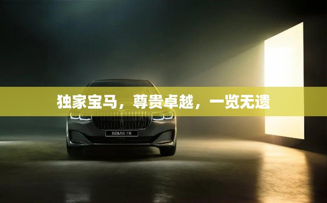 独家宝马，尊贵卓越，一览无遗