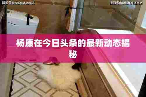 杨康在今日头条的最新动态揭秘