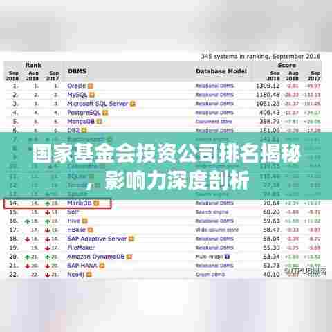 国家基金会投资公司排名揭秘，影响力深度剖析