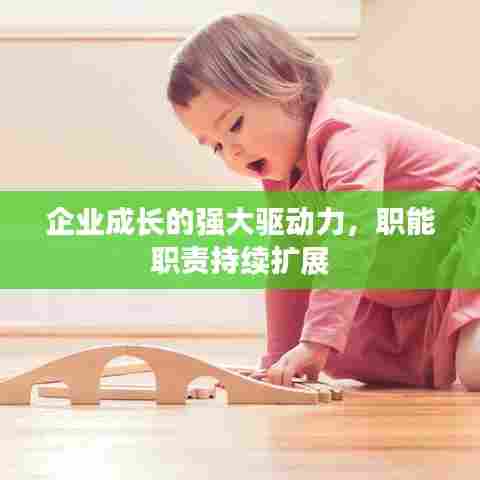 企业成长的强大驱动力,职能职责持续扩展