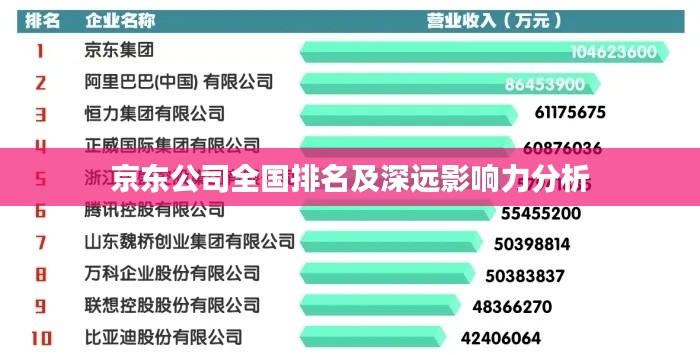 京东公司全国排名及深远影响力分析