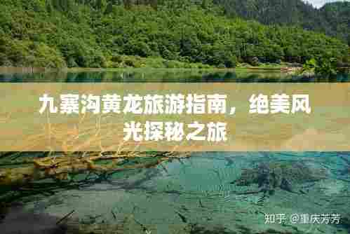 九寨沟黄龙旅游指南，绝美风光探秘之旅