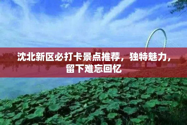 沈北新区必打卡景点推荐，独特魅力，留下难忘回忆
