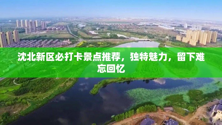 沈北新区必打卡景点推荐,独特魅力,留下难忘回忆