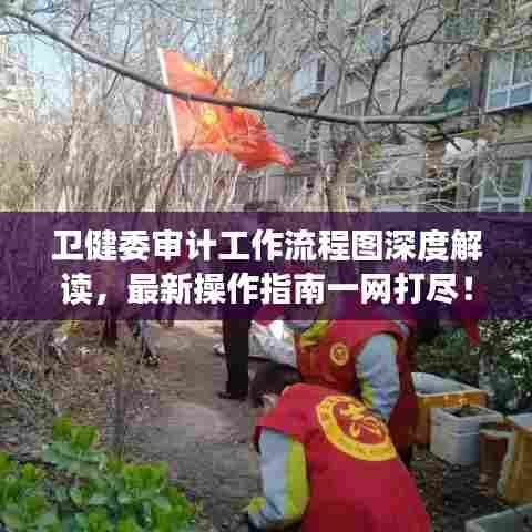 卫健委审计工作流程图深度解读，最新操作指南一网打尽！