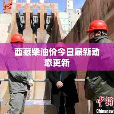 西藏柴油价今日最新动态更新