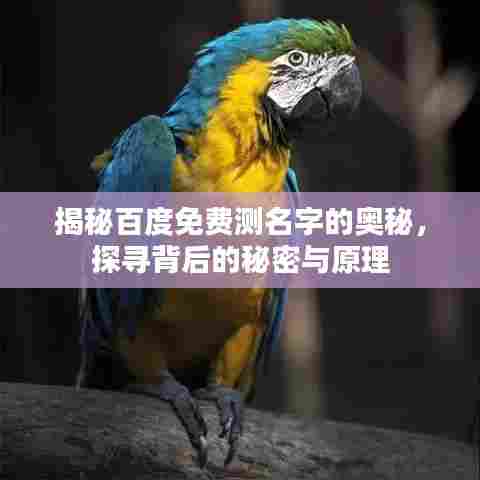 揭秘百度免费测名字的奥秘，探寻背后的秘密与原理