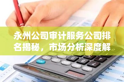 永州公司审计服务公司排名揭秘，市场分析深度解读
