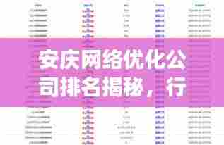 安庆网络优化公司排名揭秘，行业洞察与选择指南