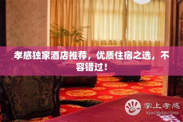 孝感独家酒店推荐，优质住宿之选，不容错过！