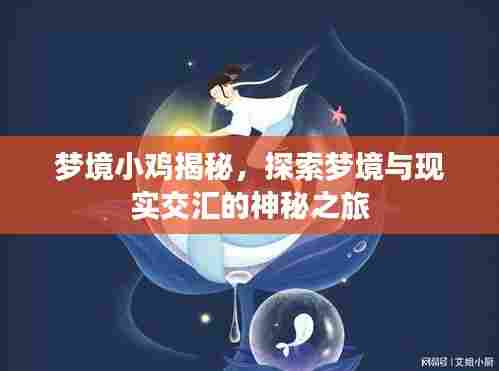 梦境小鸡揭秘,探索梦境与现实交汇的神秘之旅
