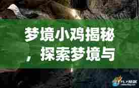梦境小鸡揭秘,探索梦境与现实交汇的神秘之旅