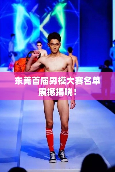 东莞首届男模大赛名单震撼揭晓！