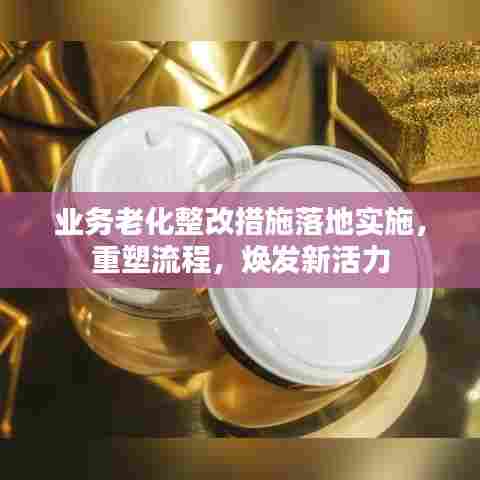 业务老化整改措施落地实施,重塑流程,焕发新活力