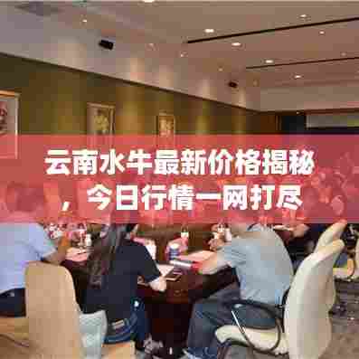 云南水牛最新价格揭秘，今日行情一网打尽