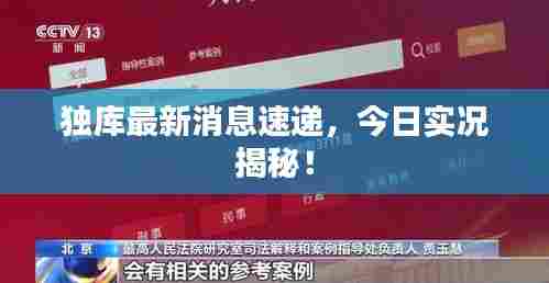 独库最新消息速递,今日实况揭秘!