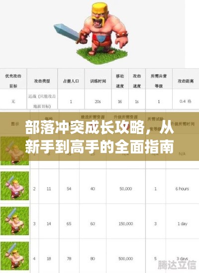 部落冲突成长攻略，从新手到高手的全面指南