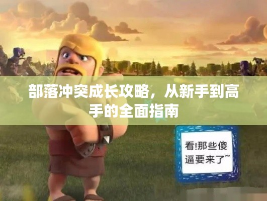 部落冲突成长攻略,从新手到高手的全面指南