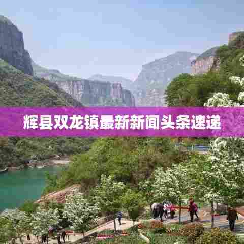 辉县双龙镇最新新闻头条速递